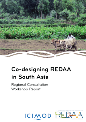 Co-designing REDAA in South Asia