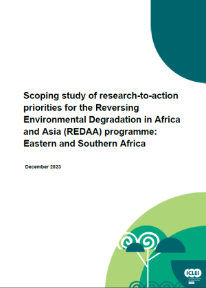 Scoping study of research-to-action priorities for the REDAA programme: Eastern and Southern Africa
