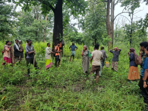 A group of people standing and conversing in a forest clearing surrounded by tall trees and dense greenery.