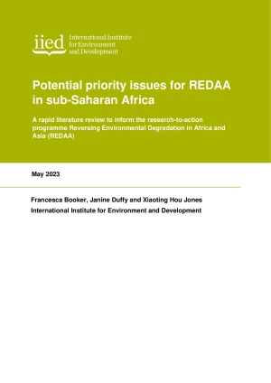 Potential priority issues for REDAA in sub-Saharan Africa.pdf
