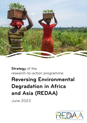 REDAA Strategy - June 2023.pdf