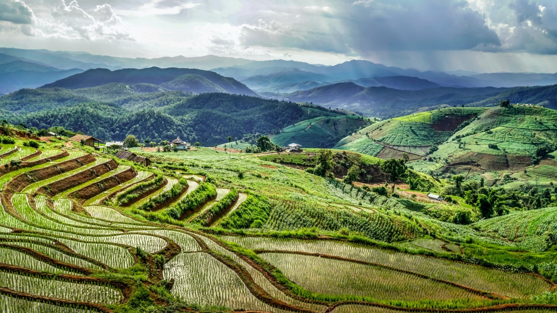 Rice fields, Mae Chaem district, Mueang Pan, Thailand. Credit: David Gardiner via Unsplash