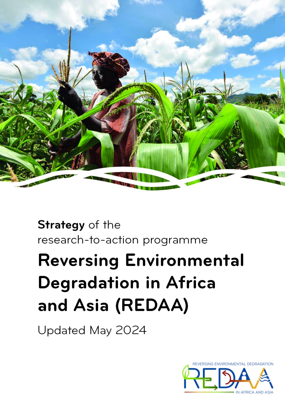 Cover of REDAA Strategy 2024