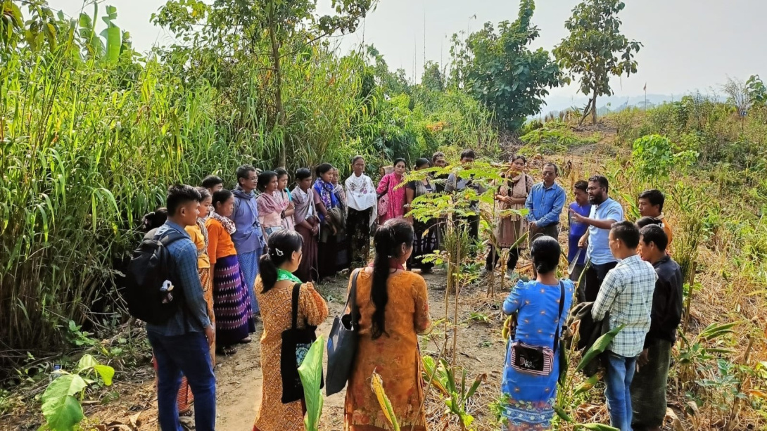 A group of people stands in a grassy field surrounded by trees, listening each other talk.